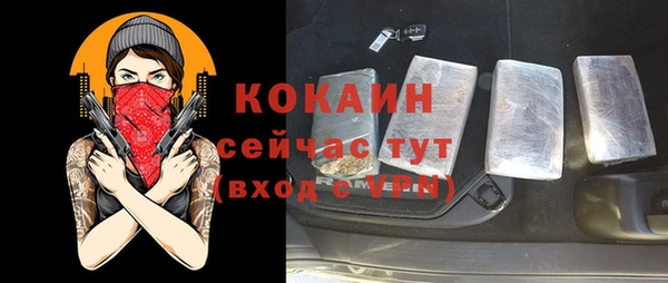 стаф Верея