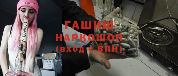 стаф Верея