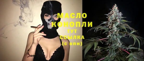 стаф Верея