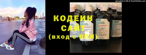 стаф Верея