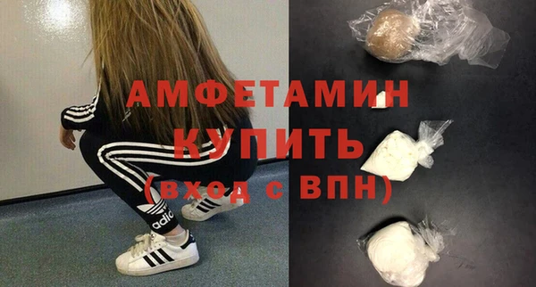 стаф Верея