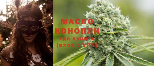 стаф Верея