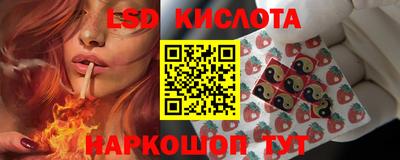 дживик Берёзовский