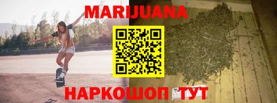 Альфа ПВП Бийск