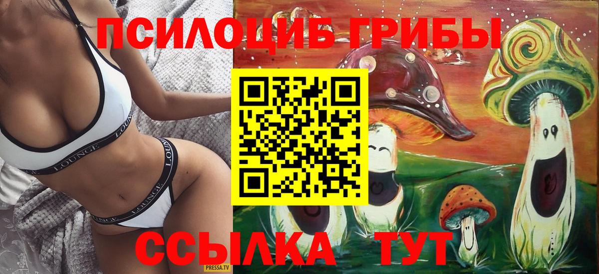 Галлюциногенные грибы Cubensis  Вход с VPN  Выкса 