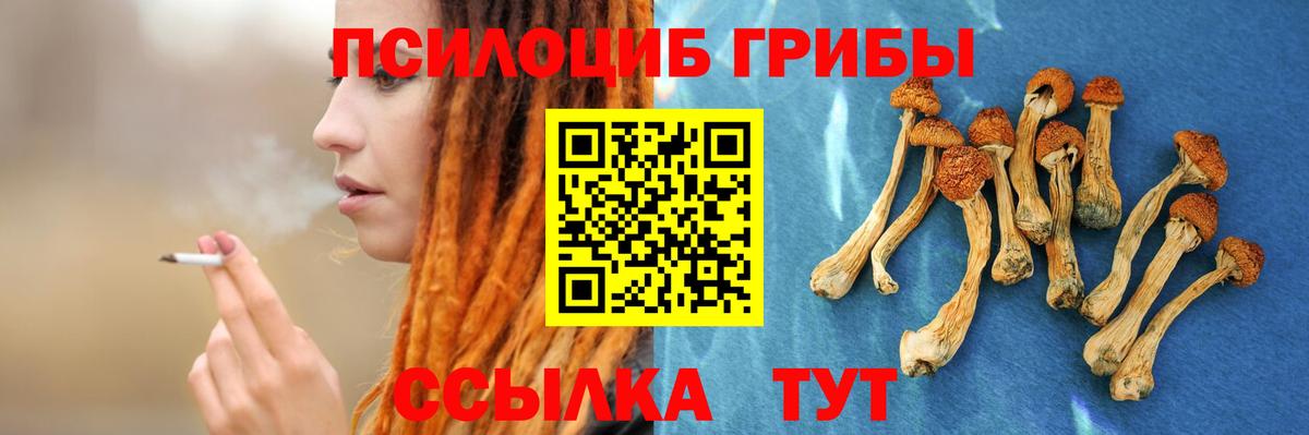 Выкса  Марихуана  Где найти наркотики?  Вход с VPN  Плюхи  Cocaine  МЕТ  Мяу-Мяу  MDMA  Марихуана 