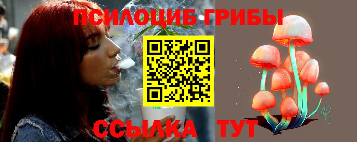 Галлюциногенные грибы Cubensis  Галлюциногенные грибы Magic Shrooms  Выкса 